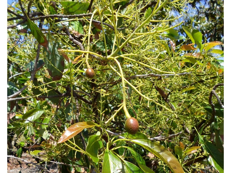 1076 North Littabella Road, Bundaberg QLD 4670