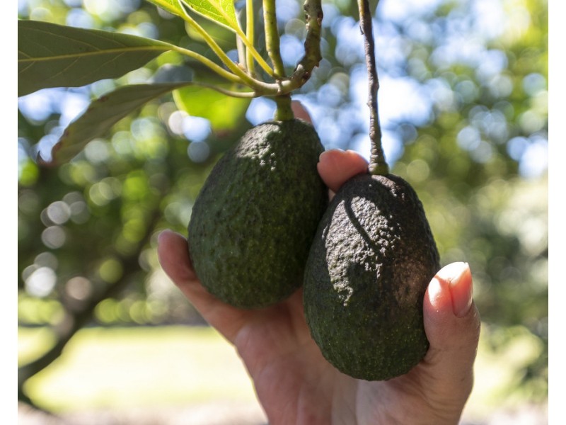 1076 North Littabella Road, Bundaberg QLD 4670