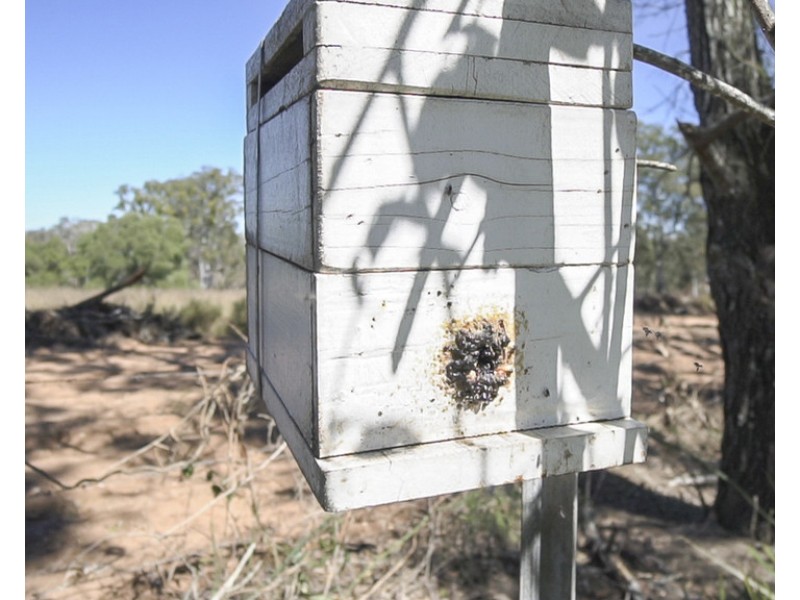 1076 North Littabella Road, Bundaberg QLD 4670
