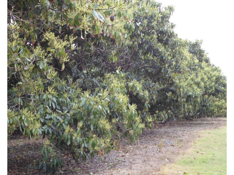 1076 North Littabella Road, Bundaberg QLD 4670