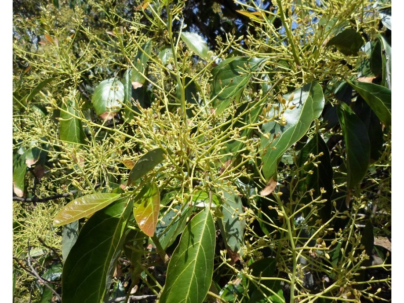 1076 North Littabella Road, Bundaberg QLD 4670