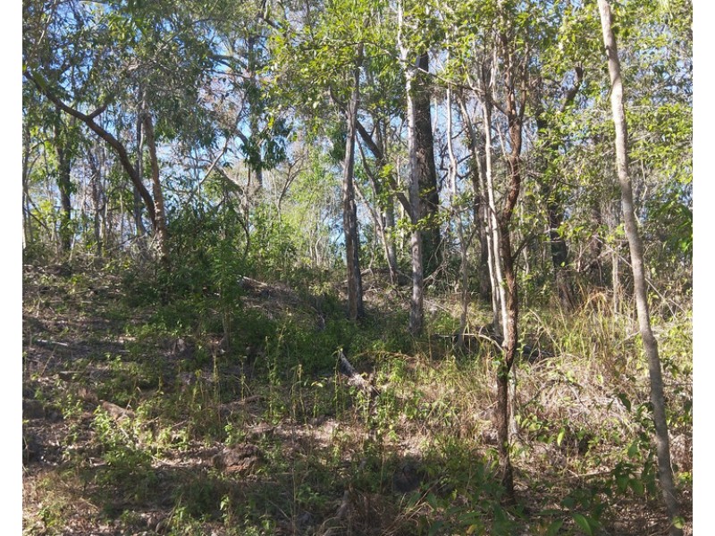 Lot 34 River Pines Drive, Delan QLD 4671