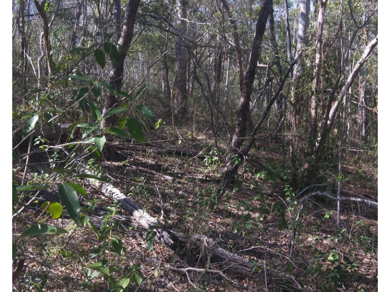 Lot 34 River Pines Drive, Delan QLD 4671