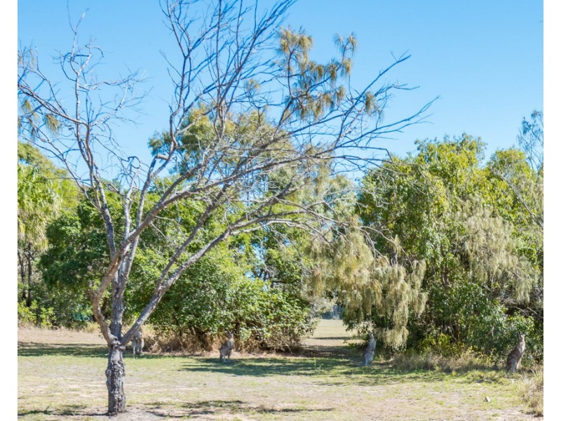 15 Lagoon Drive, Moore Park Beach QLD 4670