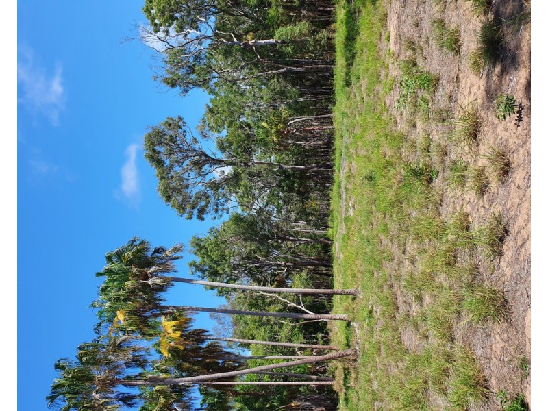 22 Lagoon Drive, Moore Park Beach QLD 4670