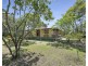 1373 Pine Creek Road, Electra QLD 4670