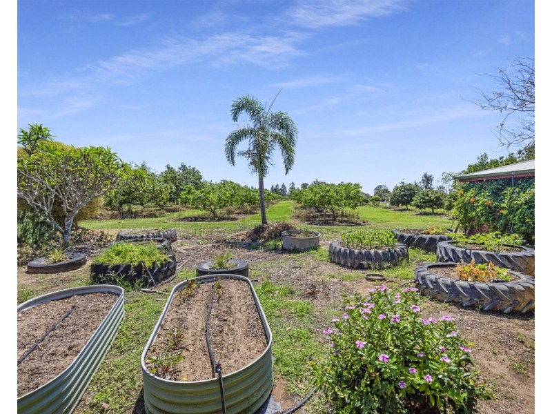 1373 Pine Creek Road, Electra QLD 4670
