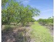 1373 Pine Creek Road, Electra QLD 4670