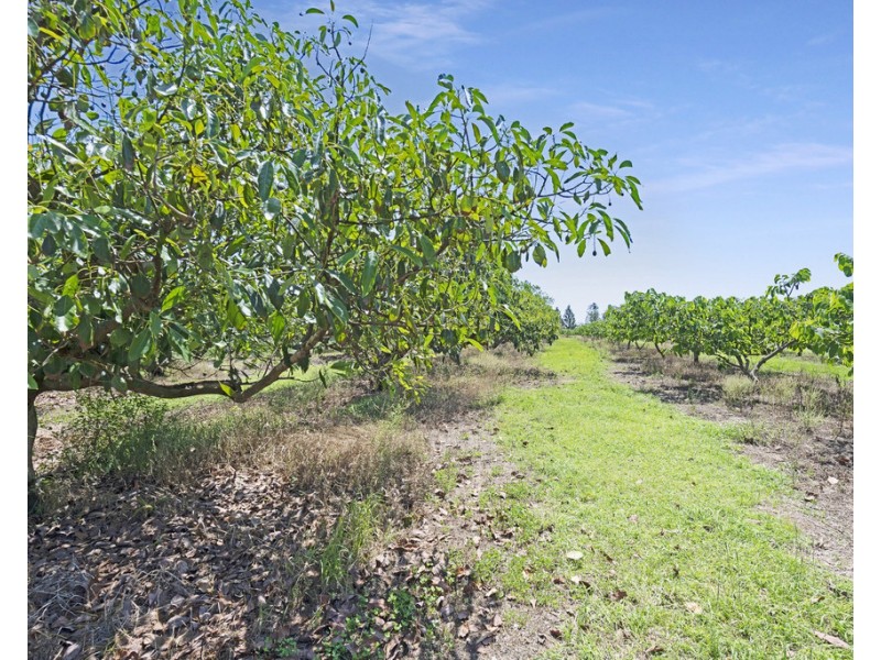 1373 Pine Creek Road, Electra QLD 4670