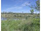 1373 Pine Creek Road, Electra QLD 4670