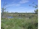 1373 Pine Creek Road, Electra QLD 4670