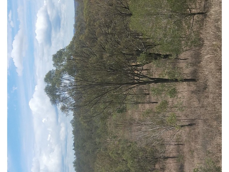 Moolboolaman QLD 4671