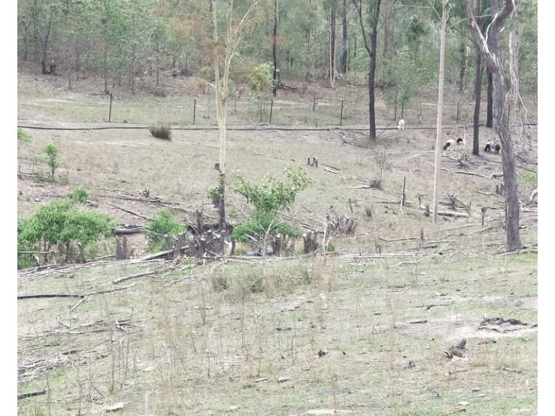 44 Stronachs Road, Horse Camp QLD 4671