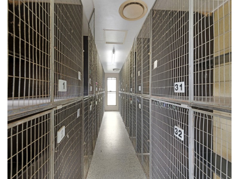 973 Gin Gin Road, Sharon QLD 4670