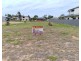 50 Acacia Street, Moore Park Beach QLD 4670