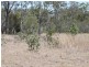 172 Smiths Crossing Road, Bucca QLD 4670