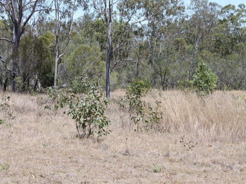 172 Smiths Crossing Road, Bucca QLD 4670
