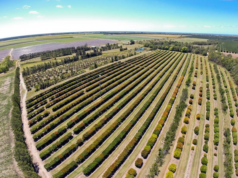 173 Bonels Road, Welcome Creek QLD 4670