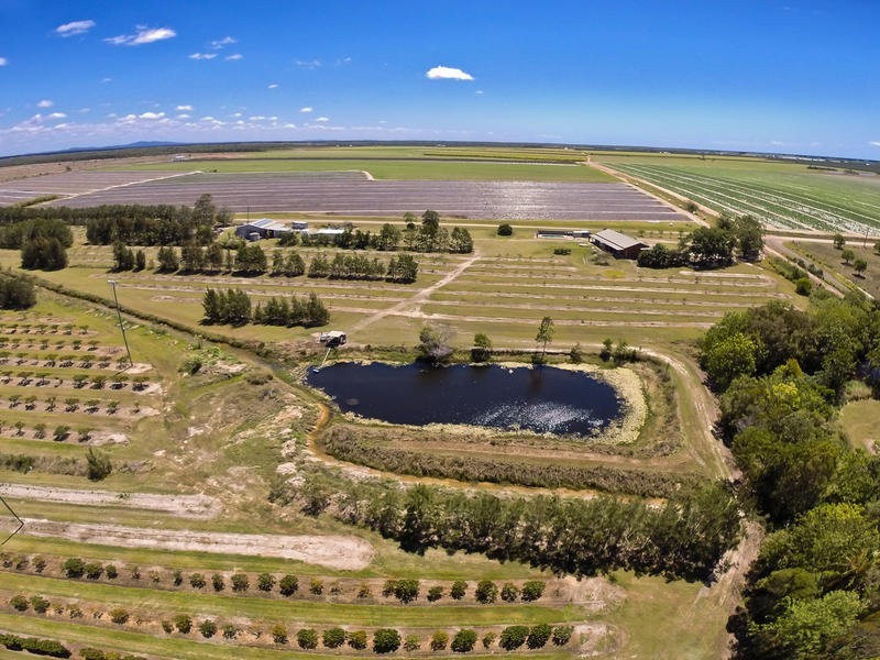 173 Bonels Road, Welcome Creek QLD 4670