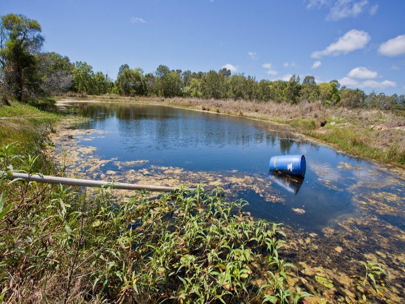 173 Bonels Road, Welcome Creek QLD 4670