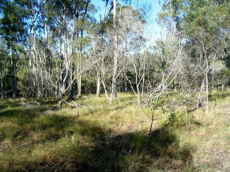 2 Kestrel Road, Bucca QLD 4670
