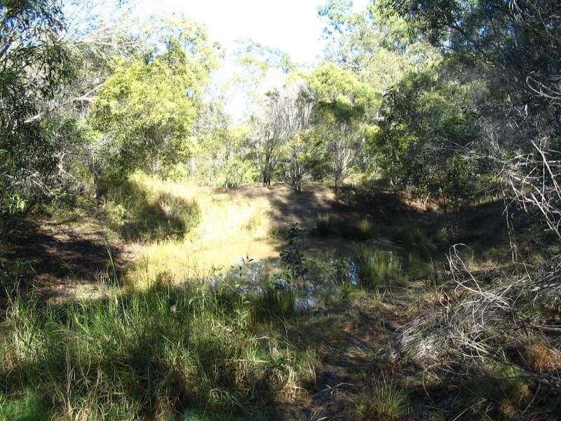 2 Kestrel Road, Bucca QLD 4670