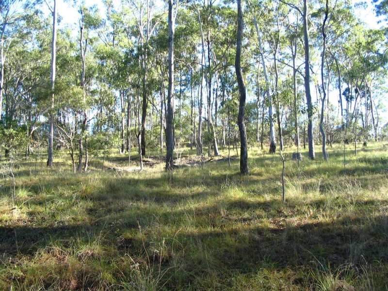 2 Kestrel Road, Bucca QLD 4670