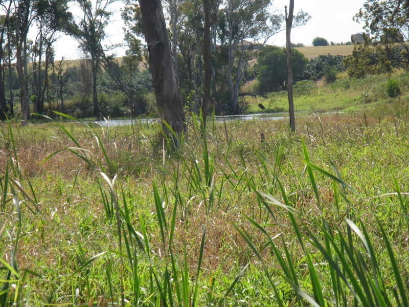 Childers QLD 4660