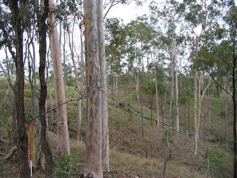 Lot 47 Friarbird Drive, Moolboolaman QLD 4671