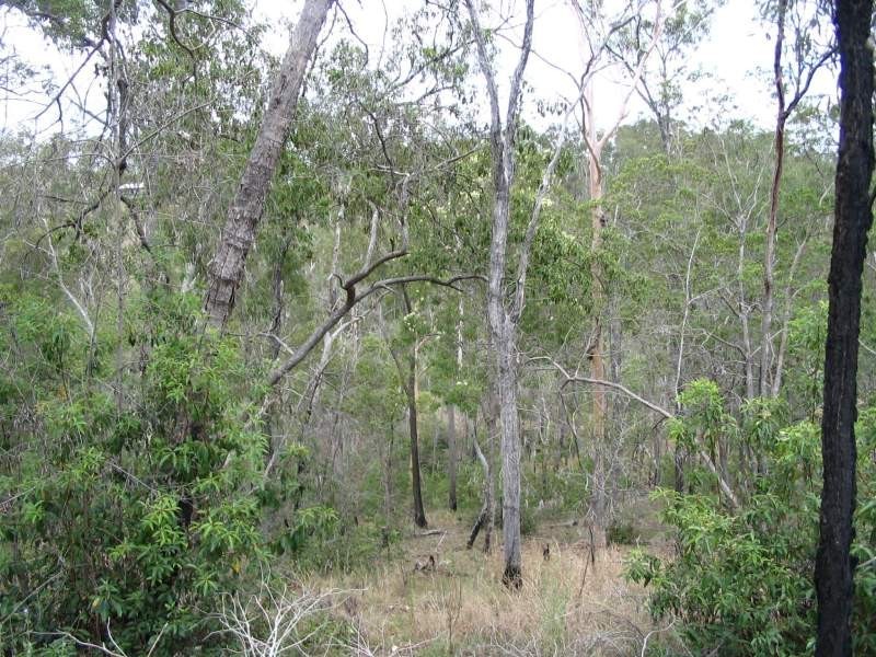 Lot 47 Friarbird Drive, Moolboolaman QLD 4671