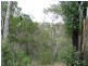 Lot 47 Friarbird Drive, Moolboolaman QLD 4671