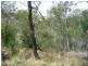 Lot 47 Friarbird Drive, Moolboolaman QLD 4671