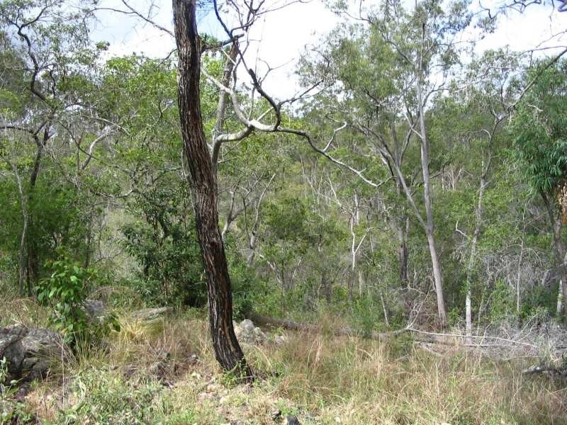 Lot 47 Friarbird Drive, Moolboolaman QLD 4671