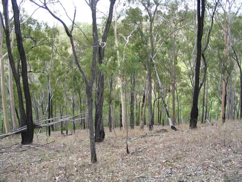 Lot 47 Friarbird Drive, Moolboolaman QLD 4671