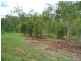 4 Lirema Court, Delan QLD 4671