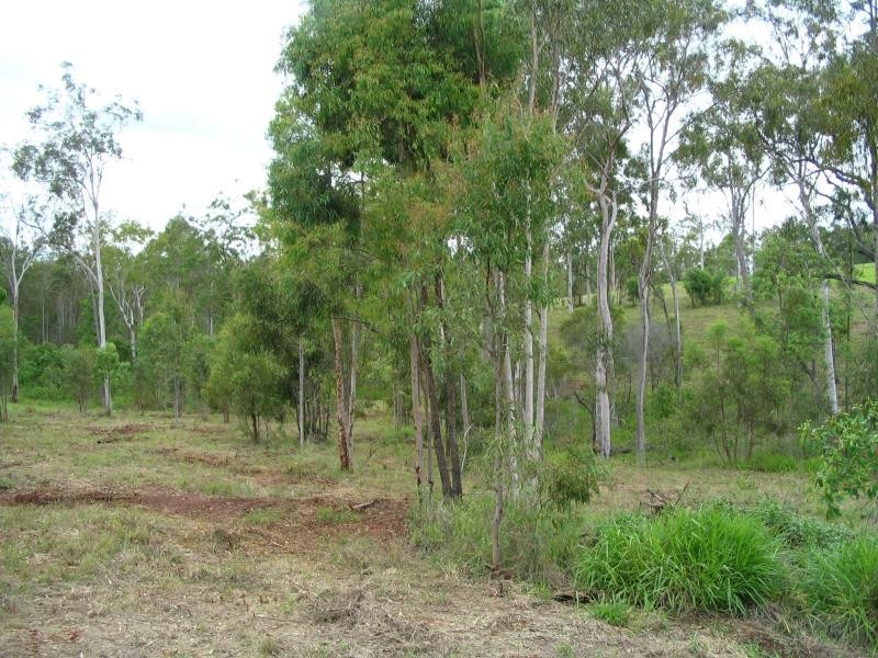 4 Lirema Court, Delan QLD 4671