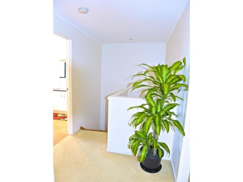 7/60 Steuart Street, Bundaberg North QLD 4670