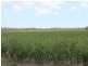 1084 Farnsfield Road, Farnsfield QLD 4660