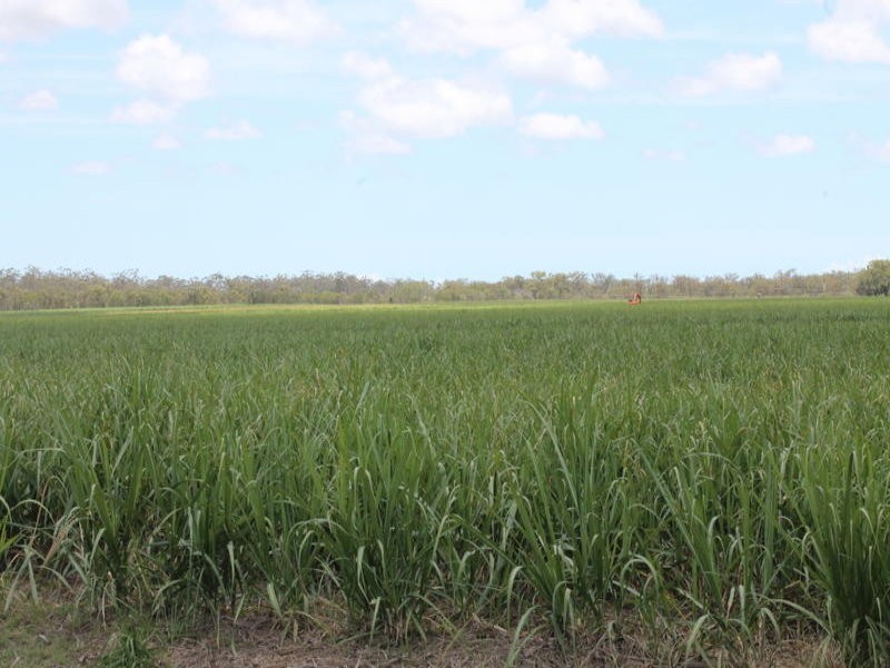 1084 Farnsfield Road, Farnsfield QLD 4660