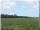1084 Farnsfield Road, Farnsfield QLD 4660