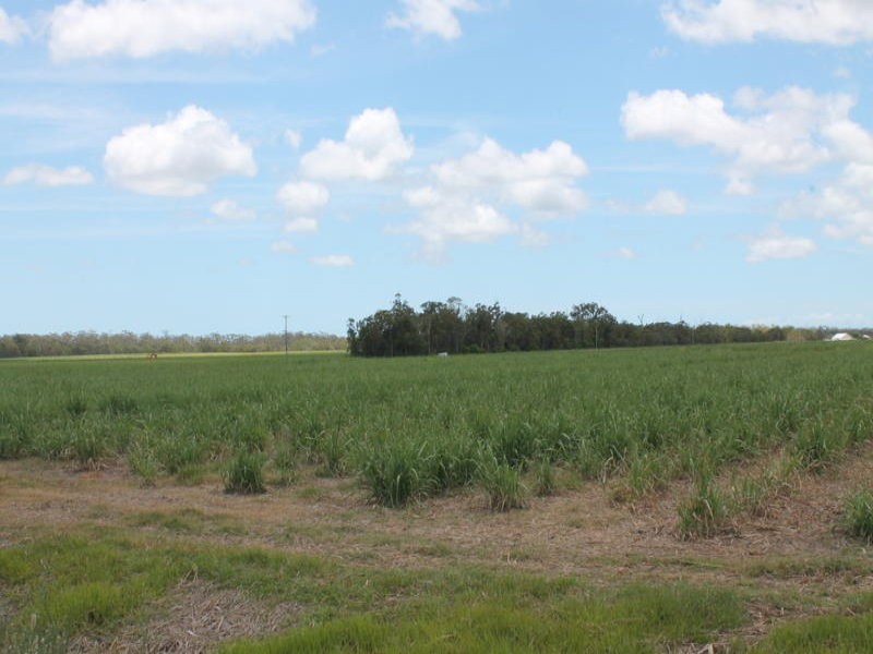1084 Farnsfield Road, Farnsfield QLD 4660