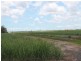 1084 Farnsfield Road, Farnsfield QLD 4660
