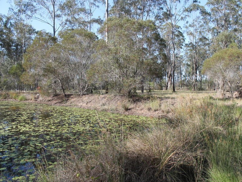 46 Bellbird Drive, Bucca QLD 4670