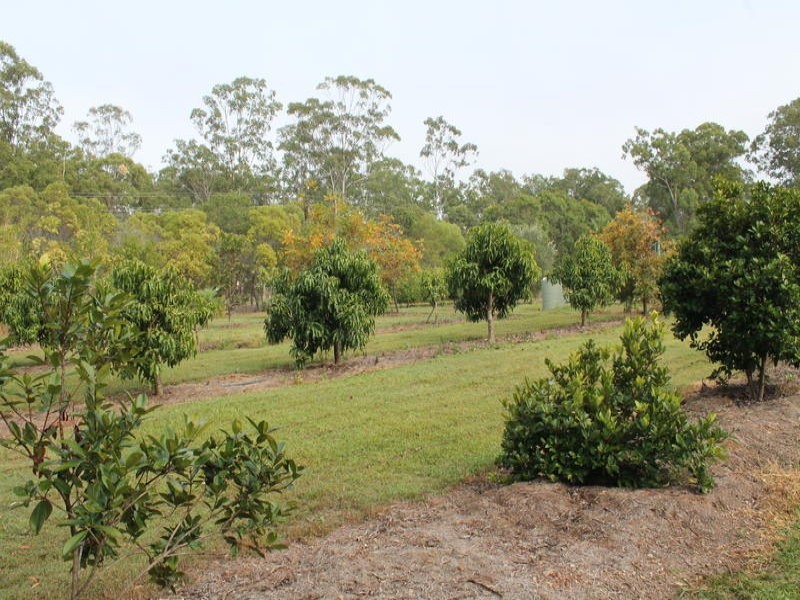 20 Iron Bark Cresent, Yandaran QLD 4673