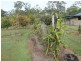 20 Iron Bark Cresent, Yandaran QLD 4673
