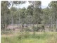 Lot 143 Newitts Road, Yandaran QLD 4673