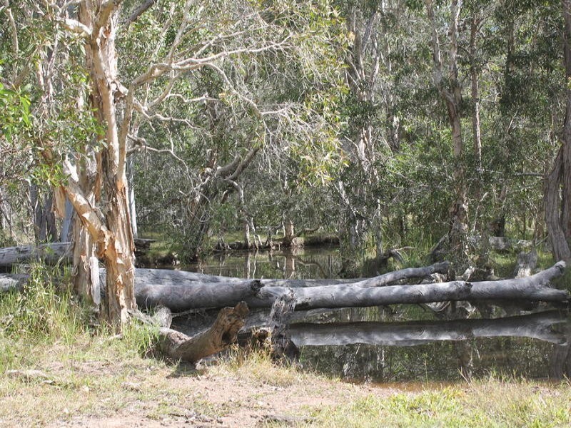 Lot 143 Newitts Road, Yandaran QLD 4673