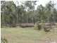 Lot 143 Newitts Road, Yandaran QLD 4673