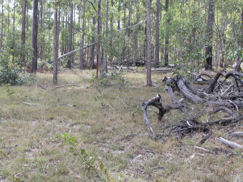 Lot 143 Newitts Road, Yandaran QLD 4673