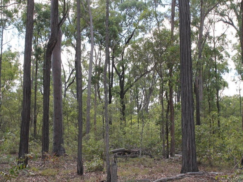 Lot 143 Newitts Road, Yandaran QLD 4673